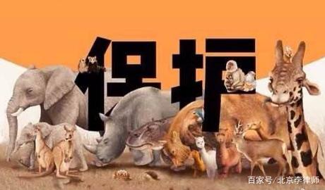立法了！即日起全面禁止野生动物交易！